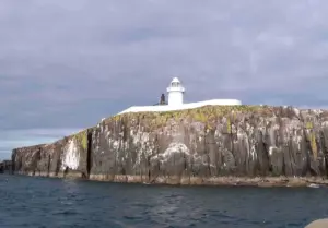 Farne Islands: The Return of Puffin Cam Amidst Challenges