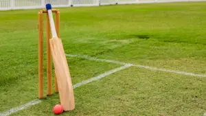North Yorkshire cricket team under investigation following alleged ‘clicking’ incident